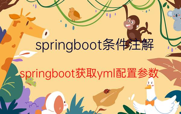 springboot条件注解 springboot获取yml配置参数？